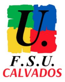 logo fsu 14